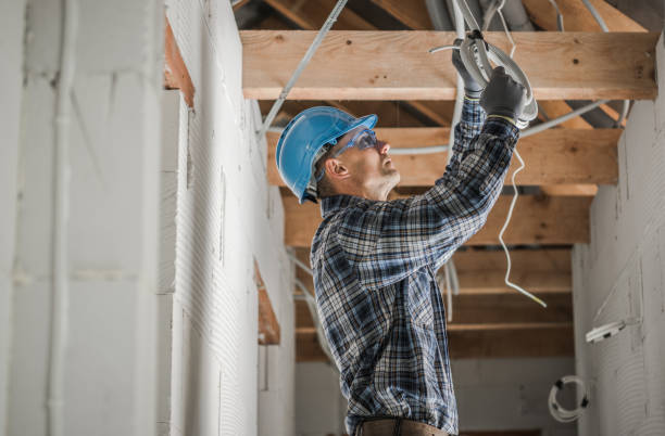 Best Electric Panel Repair  in Dahlgren, VA